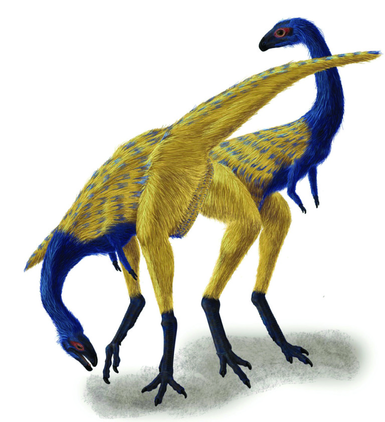 Limusaurus inextricabilis (rendering by Portia Sloan)