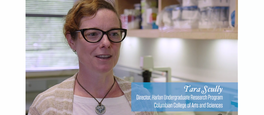 Tara Scully, Director of the Harlan program